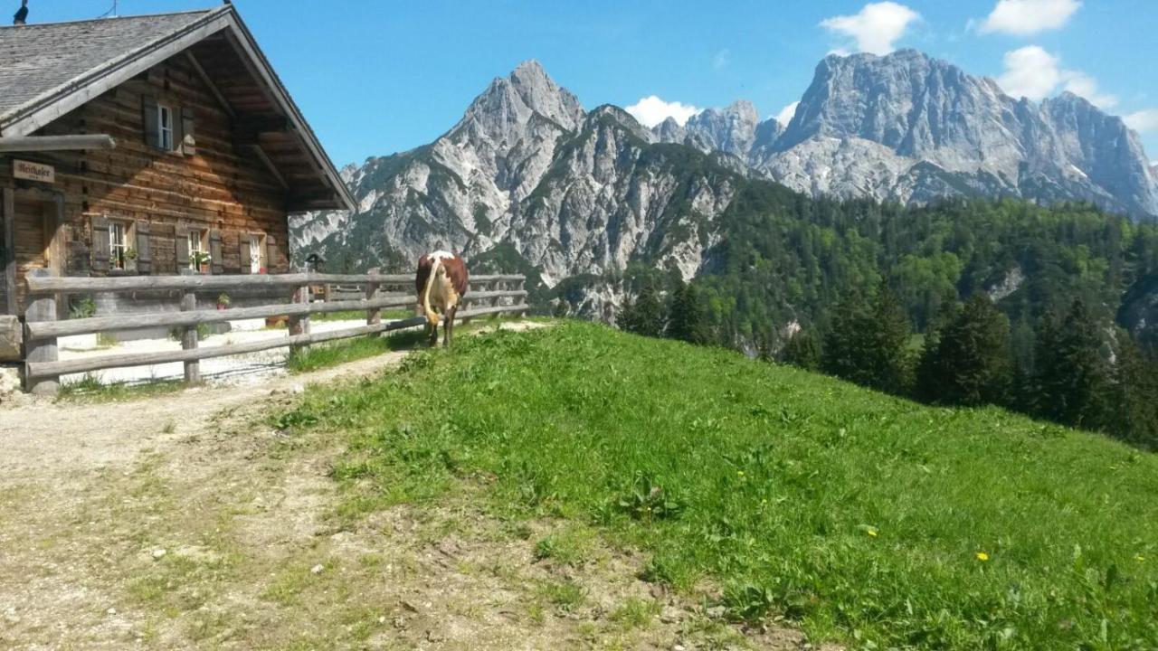 Ferienwohnungen Gaestehaus Laercheck Berchtesgaden Dış mekan fotoğraf