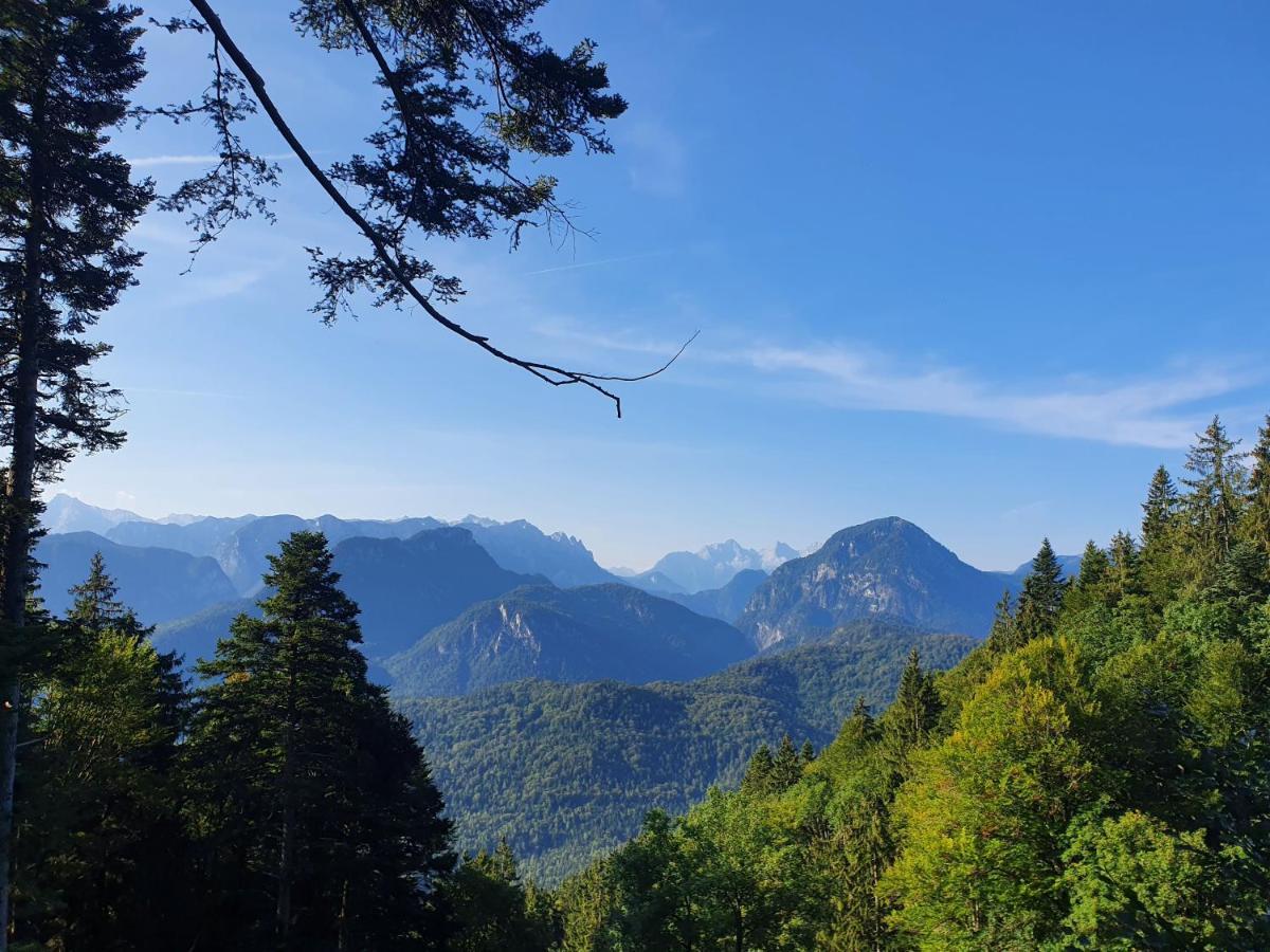 Ferienwohnungen Gaestehaus Laercheck Berchtesgaden Dış mekan fotoğraf