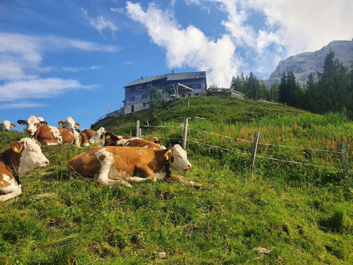 Ferienwohnungen Gaestehaus Laercheck Berchtesgaden Dış mekan fotoğraf