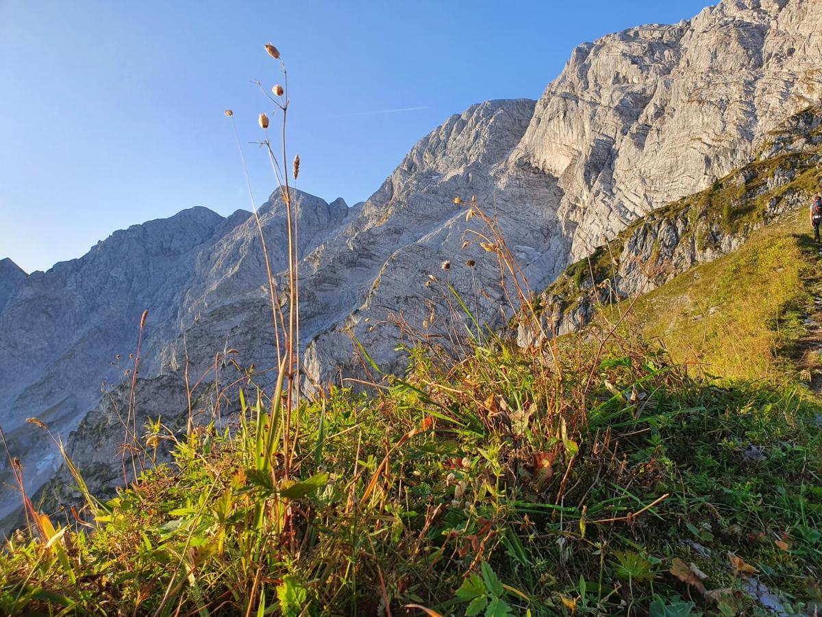 Ferienwohnungen Gaestehaus Laercheck Berchtesgaden Dış mekan fotoğraf