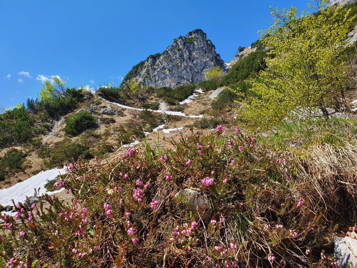 Ferienwohnungen Gaestehaus Laercheck Berchtesgaden Dış mekan fotoğraf